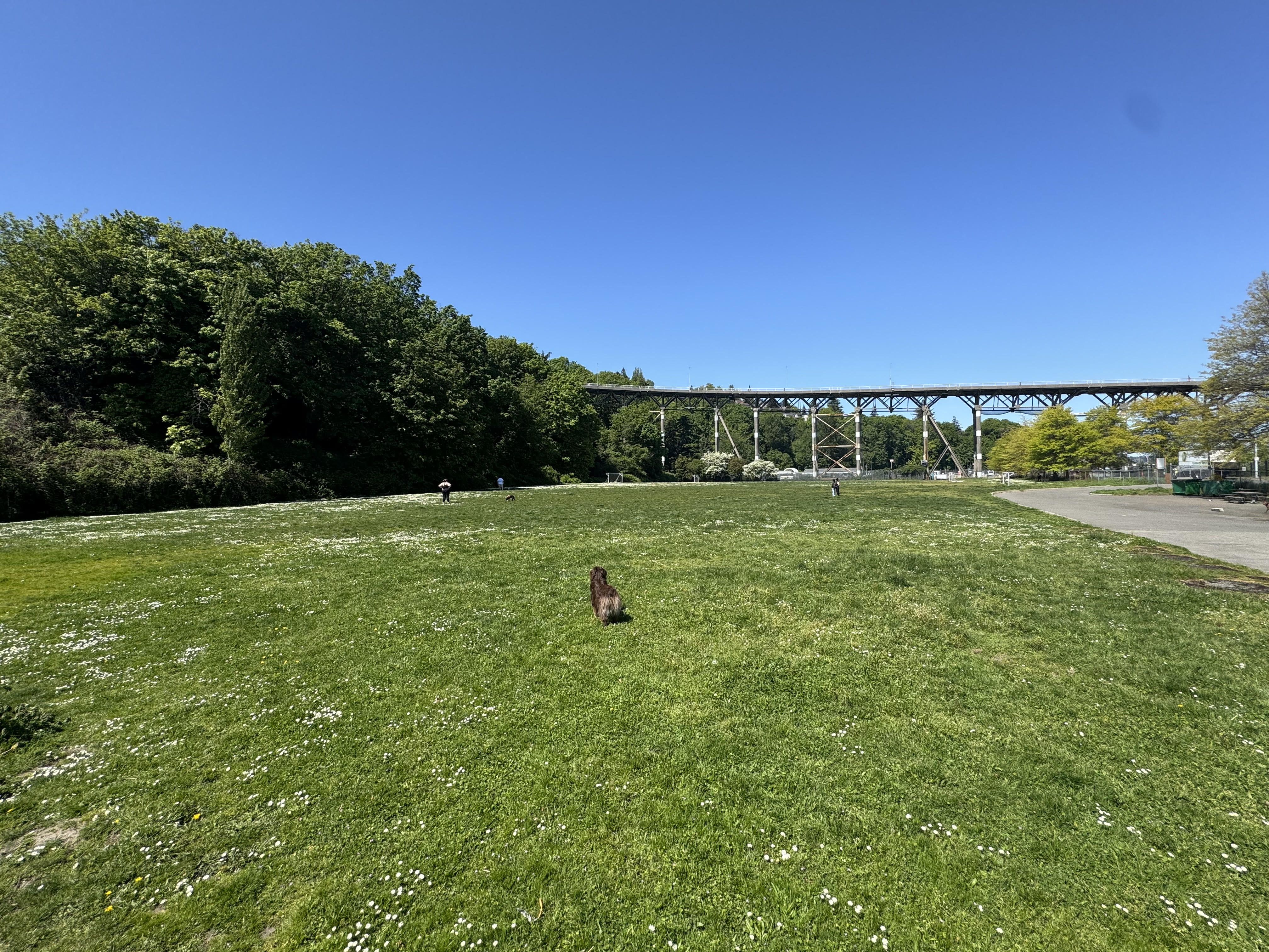 Smith Cove Park